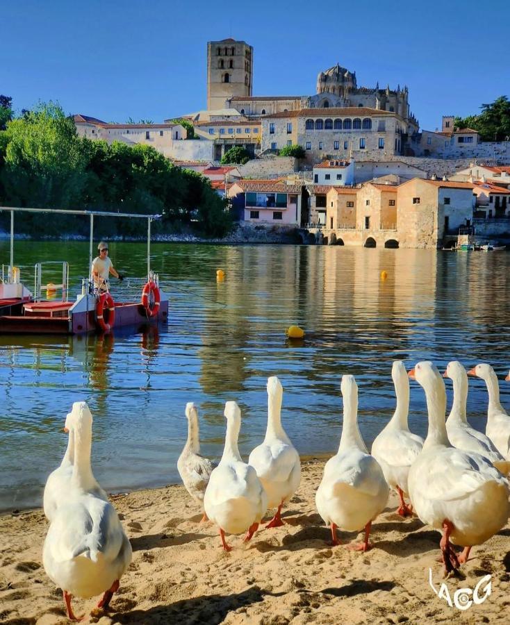 A Los Ojos Del Rio Duero Самора Экстерьер фото