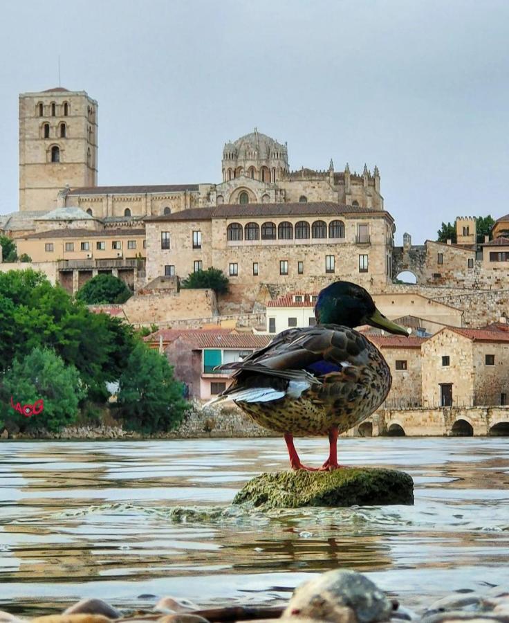A Los Ojos Del Rio Duero Самора Экстерьер фото